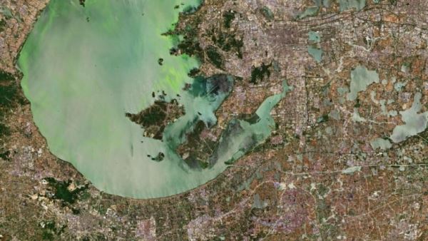 Цветение озера в Китае показали из космоса