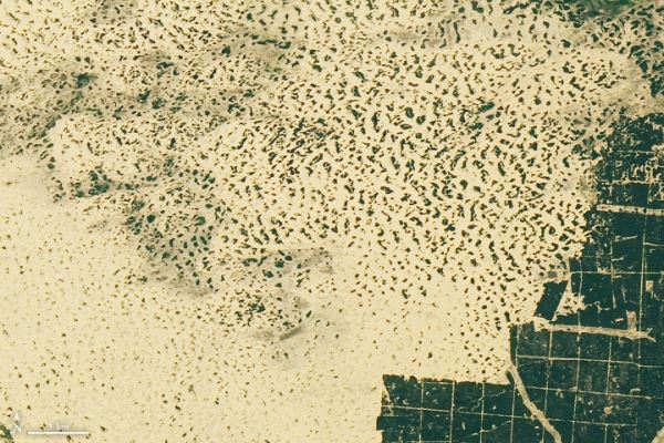 Олешковские пески из космоса
