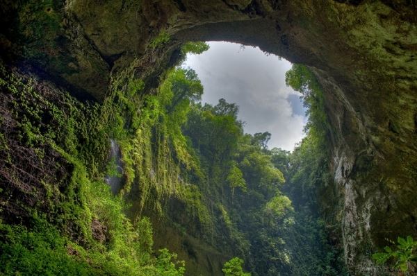 Ученые спустились в пещеру, из которой были слышны странные звуки, и не поверили своим глазам