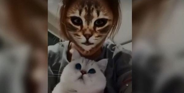 Коты в шоке от «кошачьих» фильтров для соцсетей