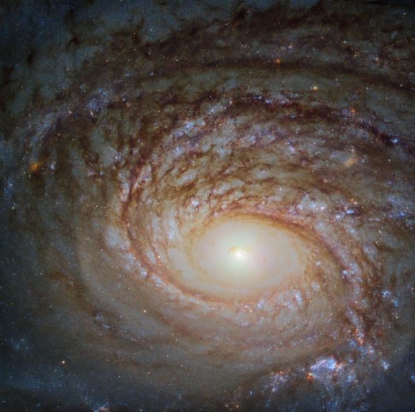 Hubble сфотографировал спиральную галактику NGC 772